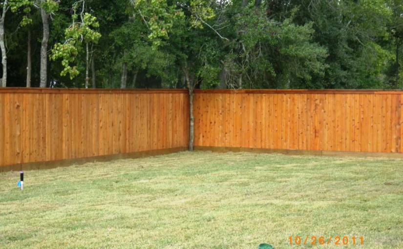 Wooden Fences4