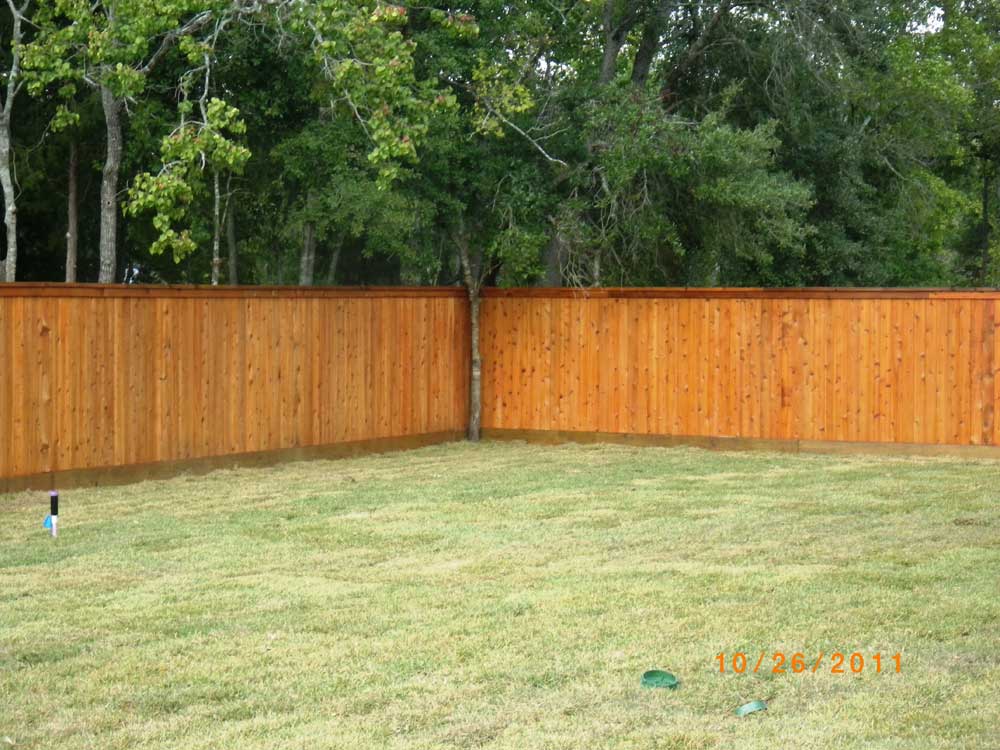 Wooden Fences4