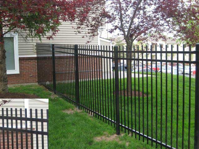 Wrought Iron Fences8