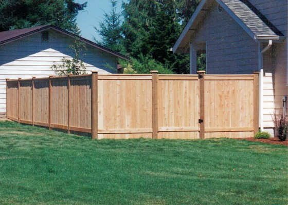 Wooden Fences31