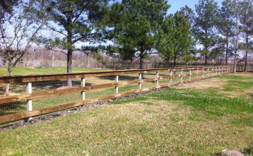 Wooden Fences51