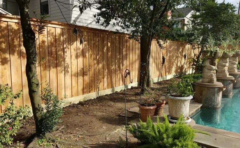 Wooden Fences93