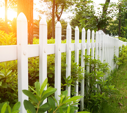 Picture of Wood Fencing